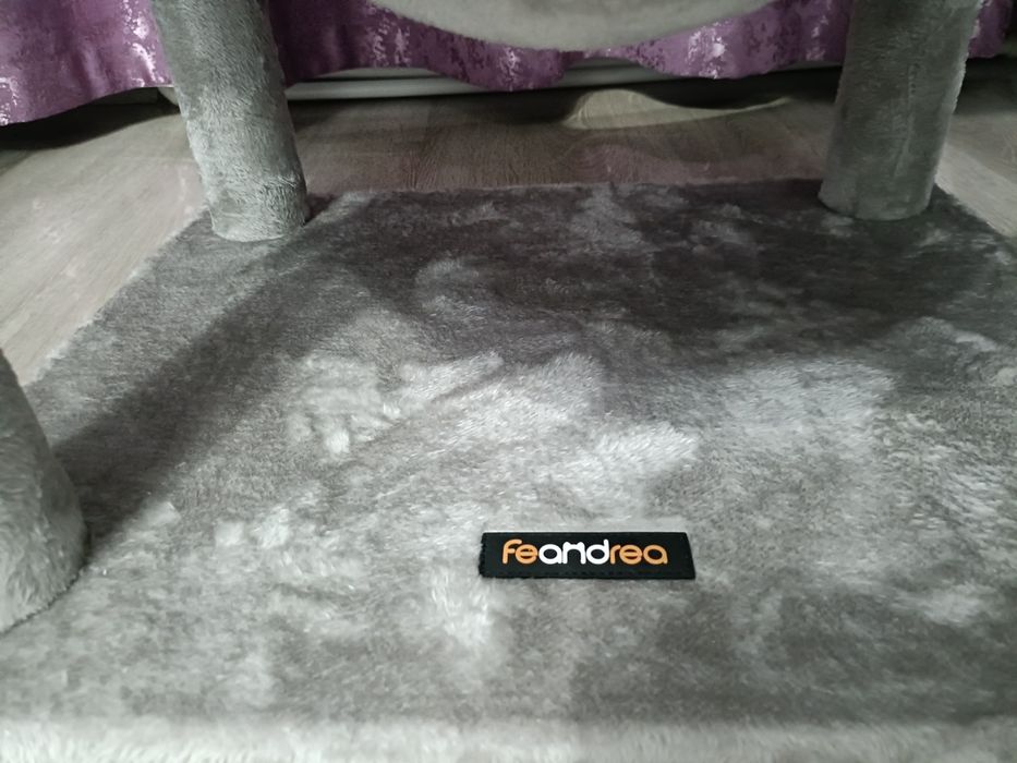 Ansamblu joaca pisici