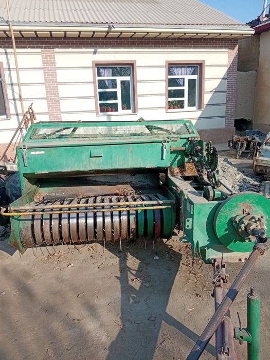 Прис  падборчик.