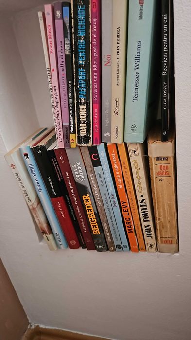 Biblioteca 100+ carti de autori variati