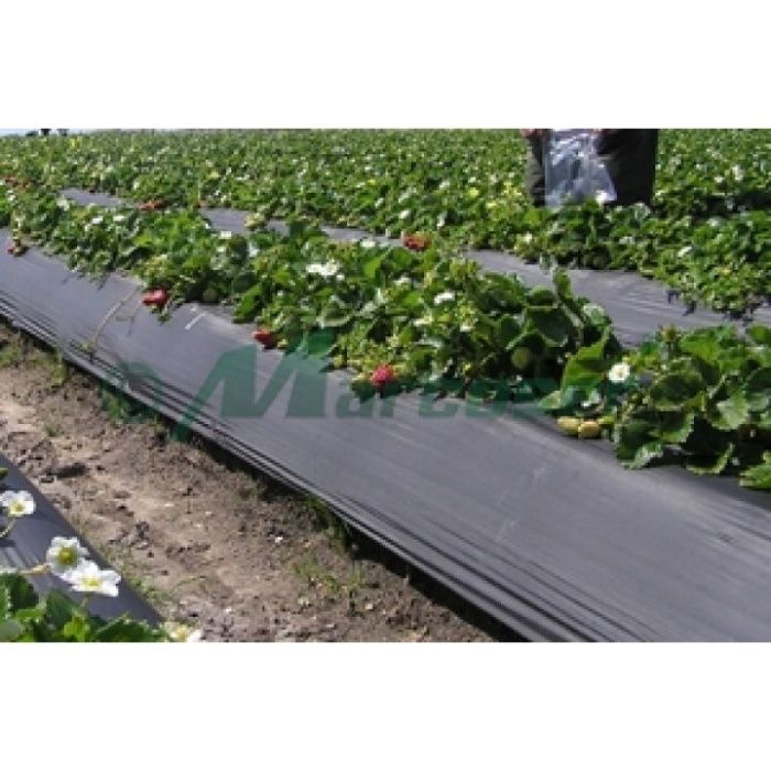 IMPORTATOR Folie Mulcire/30micr, Perforata 1.2x500ml=370 lei,3 ani