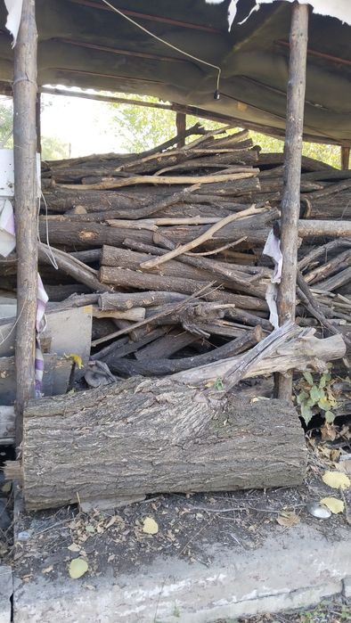 Дрова  карагач продаю