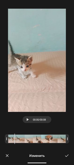 Срочно отдам котят