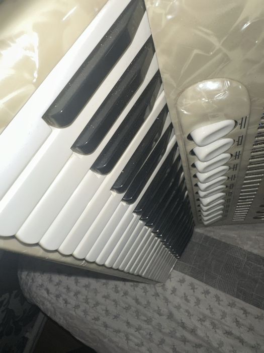 Acordeon Hohner Champion