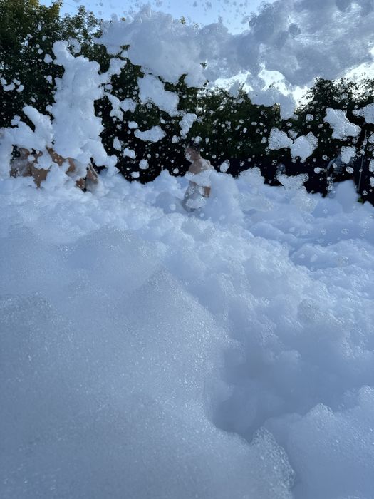 Генератор пены пенный аппарат