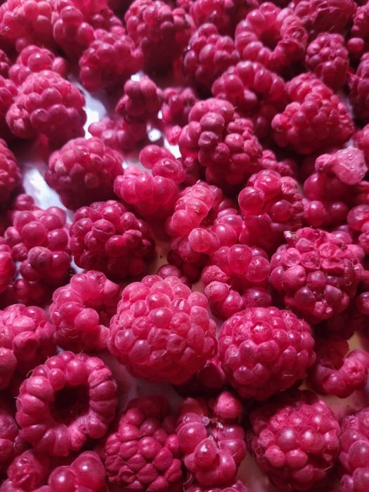 Сублимированная малина и …