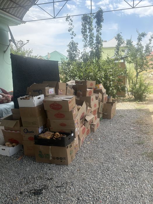 Пирожния для животных
