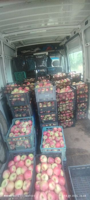 Производител продава ябълки