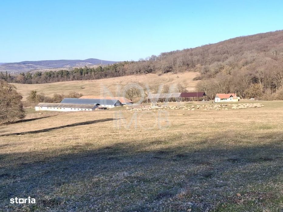 Ferma complet echipata de vanzare – zona Agnita, judetul Sibiu