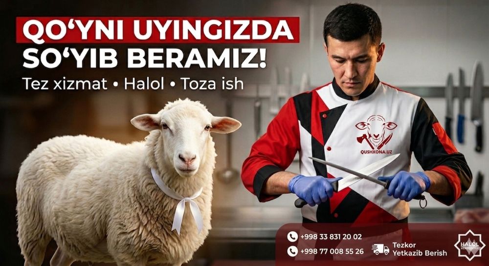 Aqiqa va qurbonlik uchun 25–50 kg qo‘ylar mavjud!