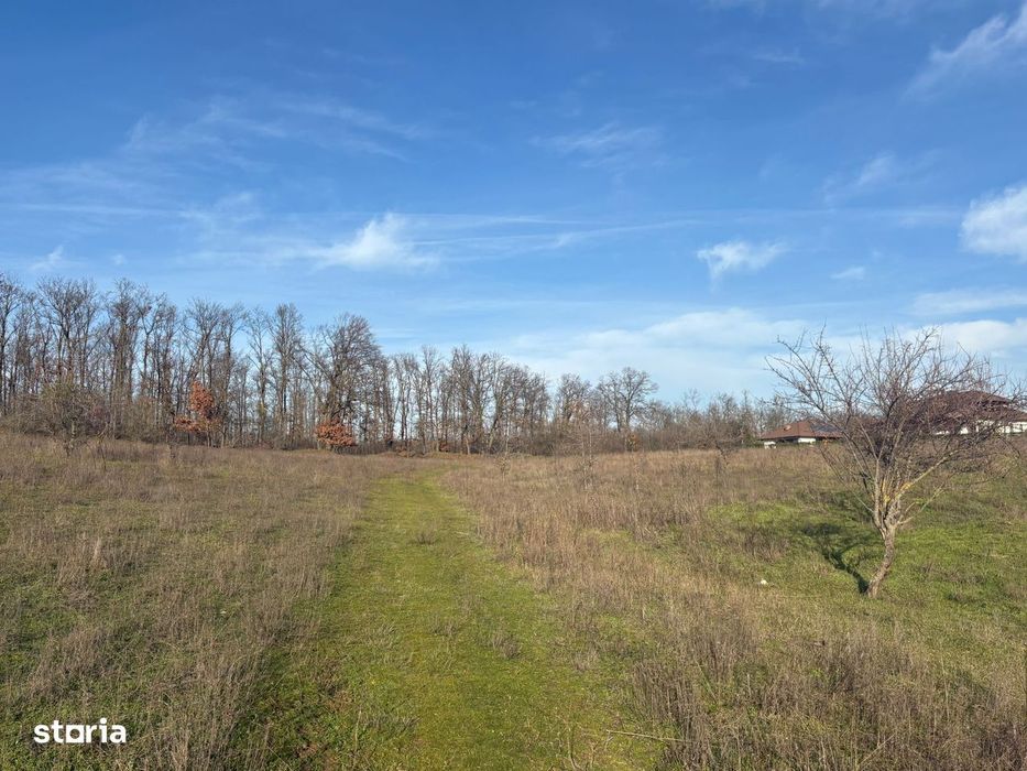 Teren 10.009 mp cu deschidere 70 m — vedere la lac și pădure