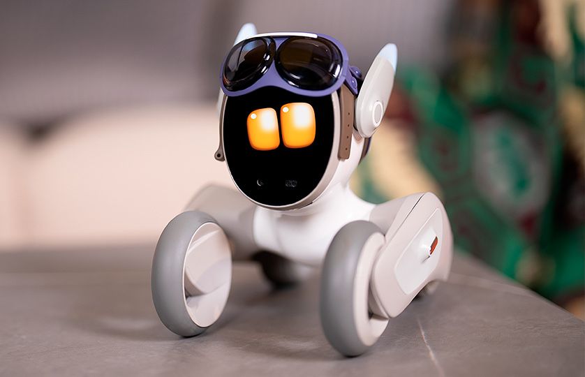 Loona robot робот smartpet petbot