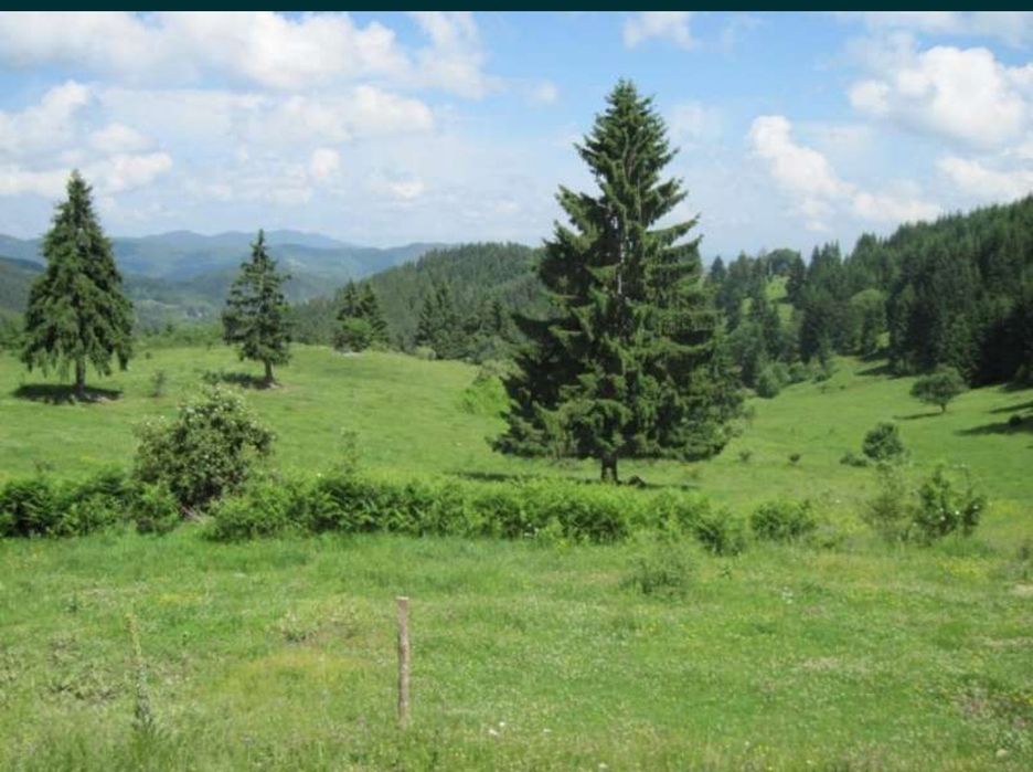 Продава се Парцел в к.к. Пампорово - 600 кв.м за 80 €/кв.м - Снимка #8