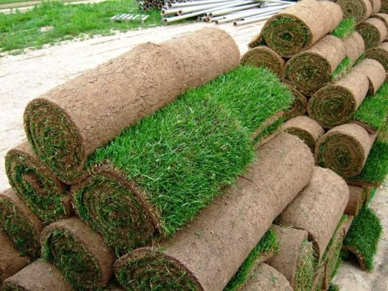 ГАРАНТИЯ. Живой рулонный газон