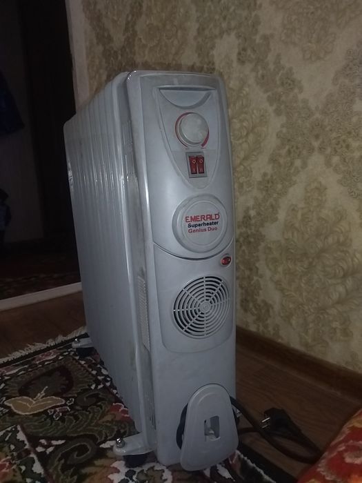 Электронная идиял