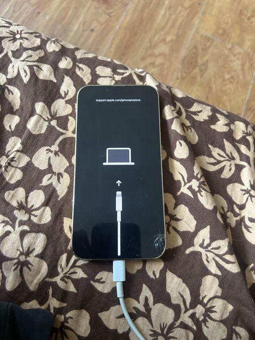 Vand urgent iphone 13 pro