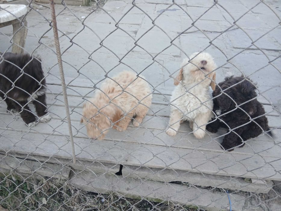 Лагото на 2м мъжки