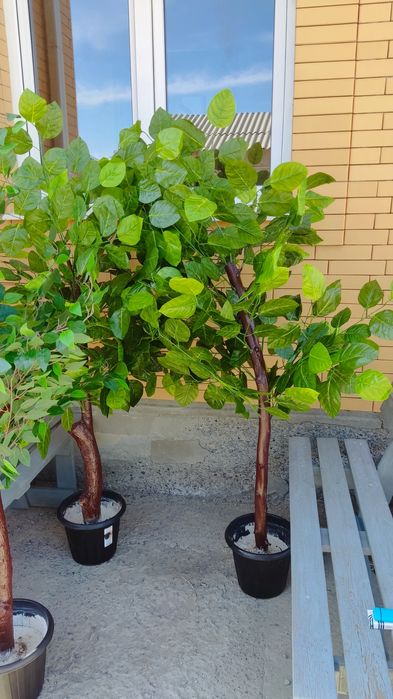 Продается искуственные деревья.