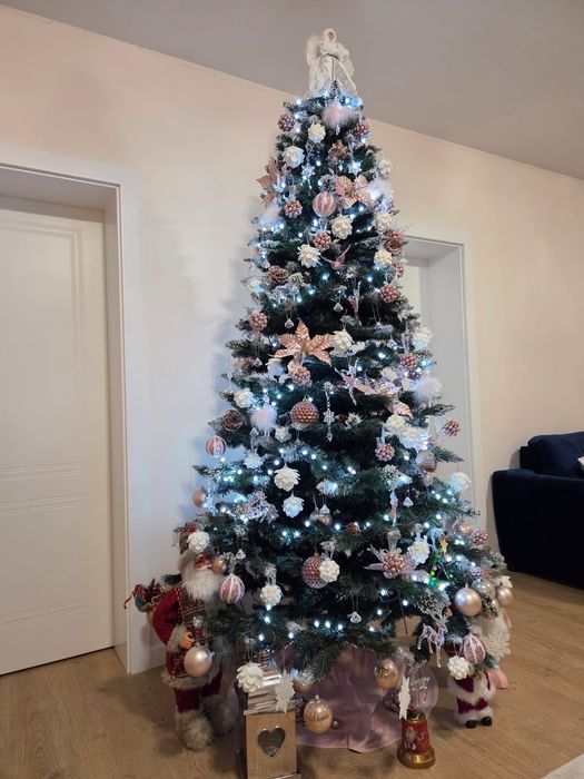 Vând brad 2,5 metri