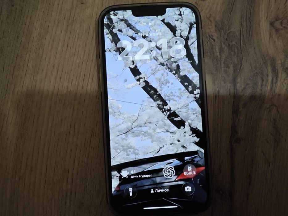 Iphone 13 pro max 256gb