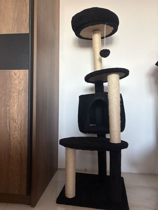 Котешка катерушка