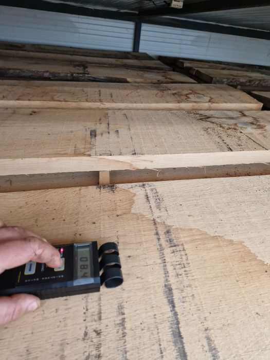 Cherstea stejar si fag