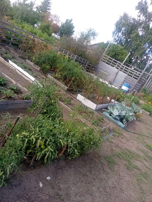 Продам дачу ПКСТ красно партизанское сообщество