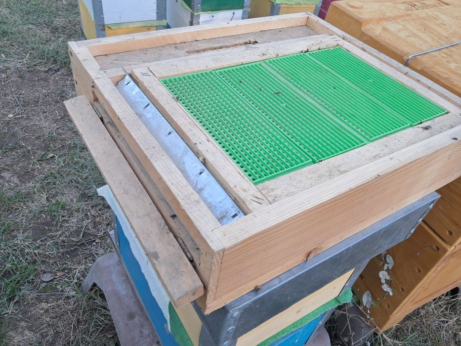 Vând colector de polen si fund antivaroua