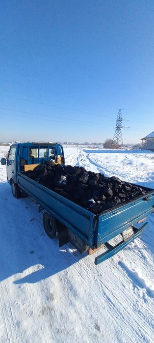 Уголь Шубаркуль и Каражыра