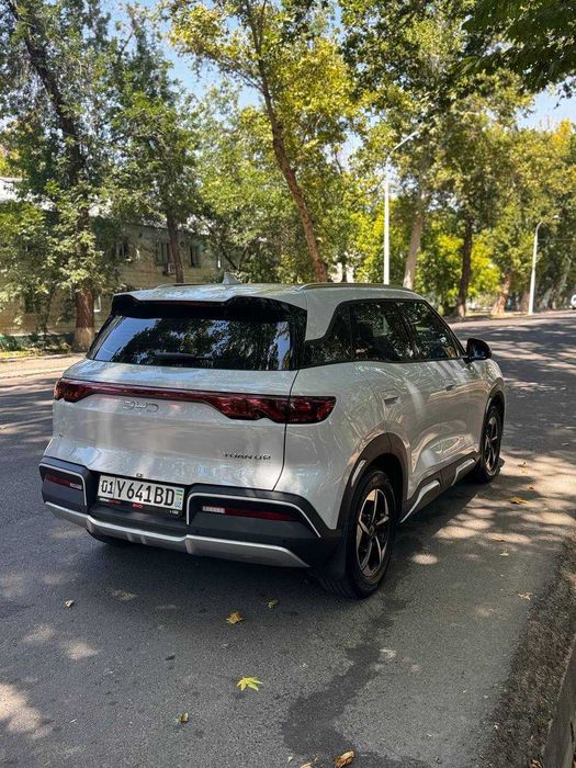 Трансфер Поездки в горы BYD YuanUp. Встреча и проводы. в аэропорт