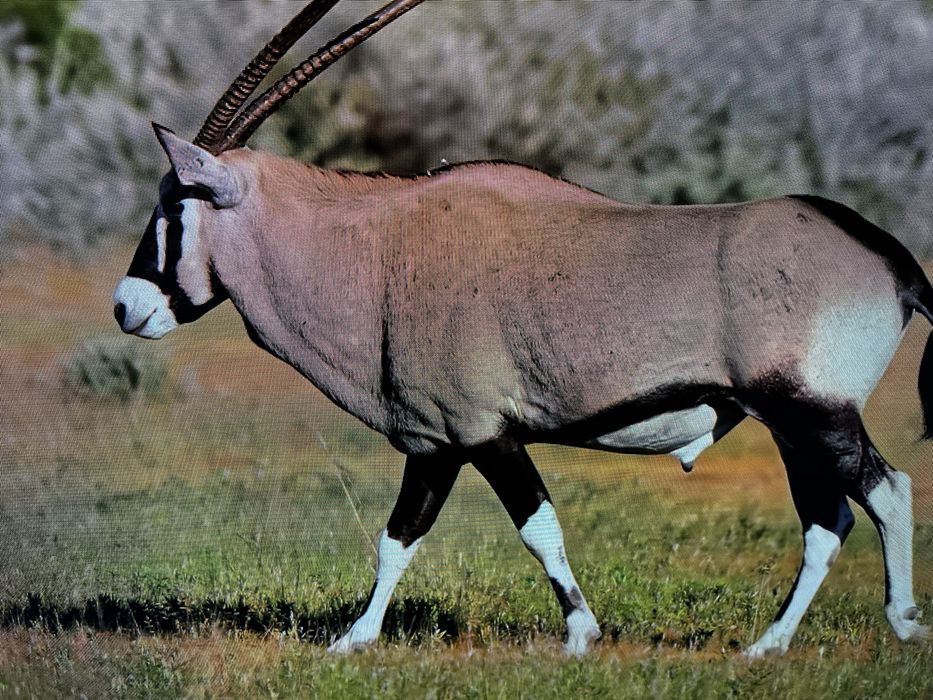 Продам телевизор Sony KDL-50WF665