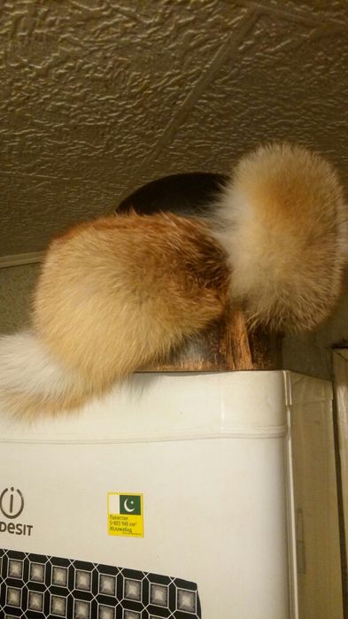 Шапка,, Малахай ''.