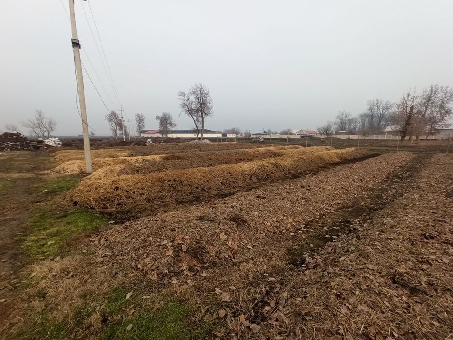 Биогумус натуральный, хорошего качества. По оптовым ценам! Скидка!