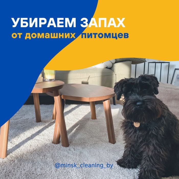 Химчистка ковров стирка ковра