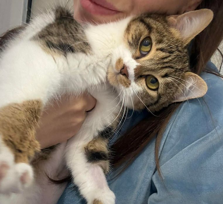 Кротката Рая на 9 м търси дом