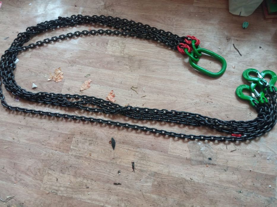 Цепной паук, паук