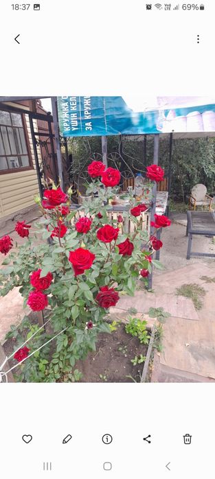 Продам дачу 18 маршрут