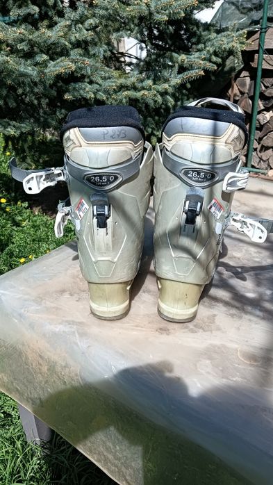 Clapari din Germania Nr 41