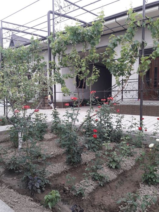 Продам дом в Барданкули