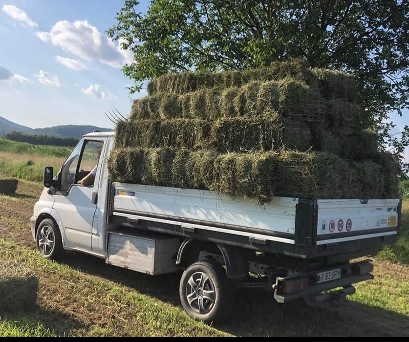 Vand baloți de lucernă