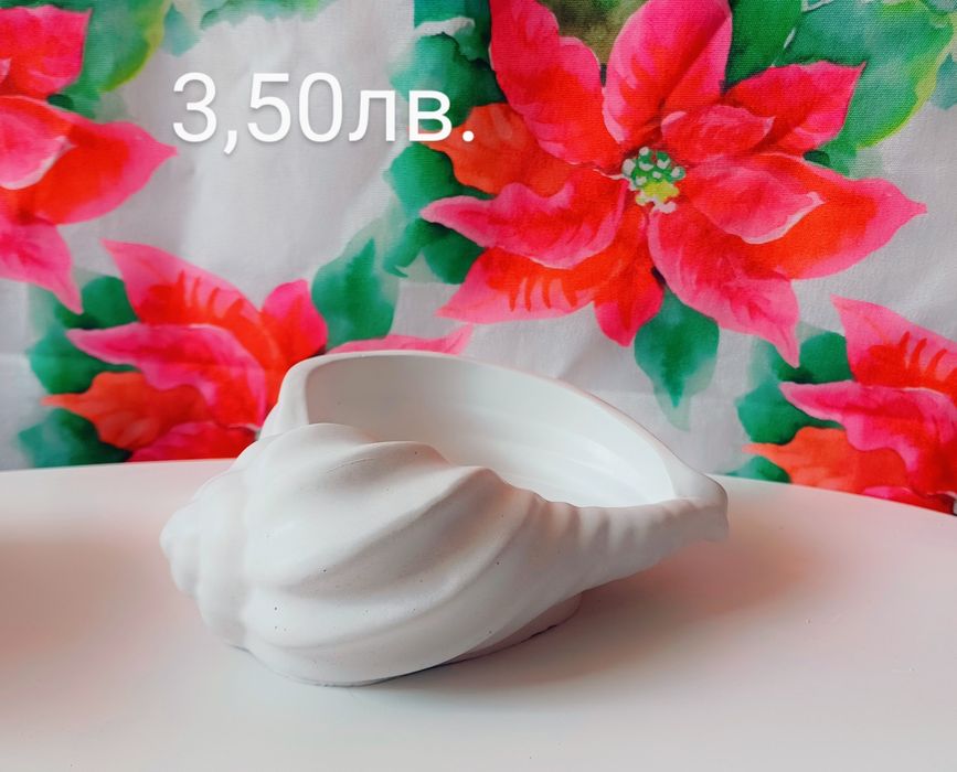 Кашпи за цветя и сукуленти