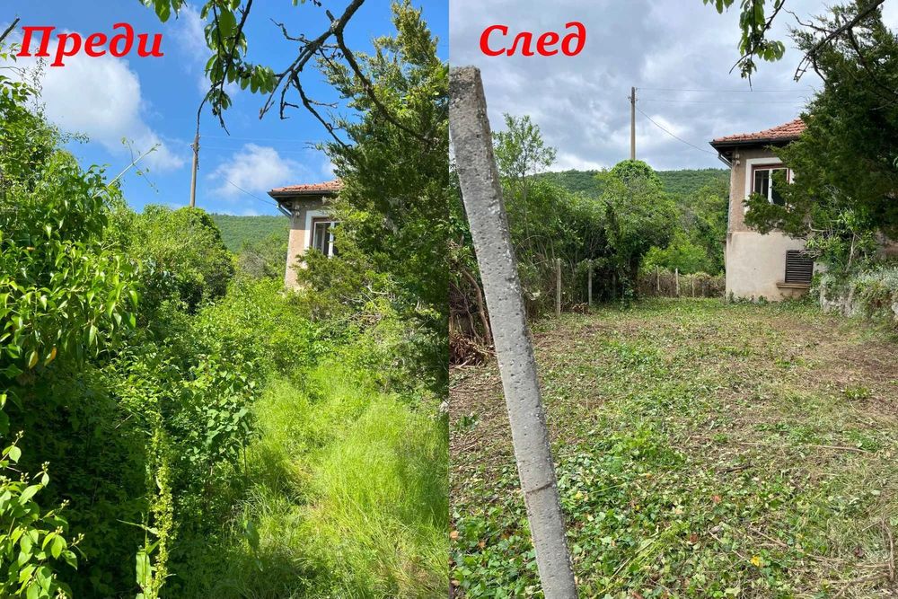 Почистване + извозване – без главоболия