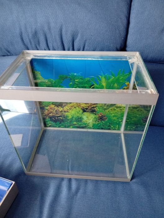 Аквариум стеклянный