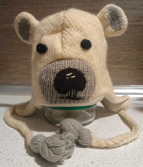 Детская зимняя шапка! (фирменная)