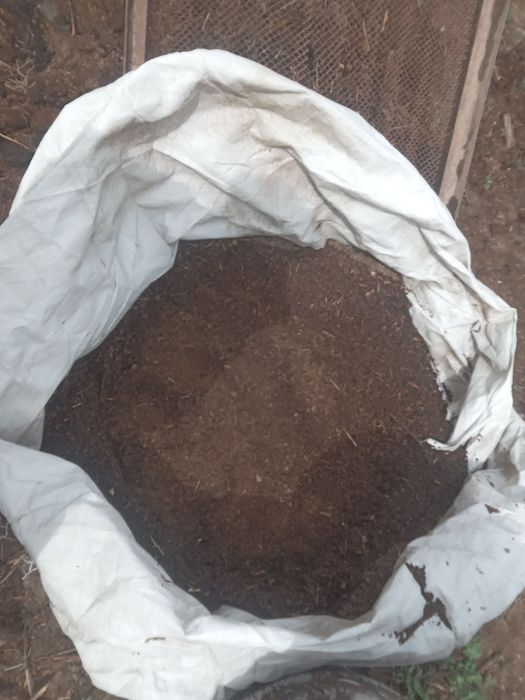 Перегной черназём