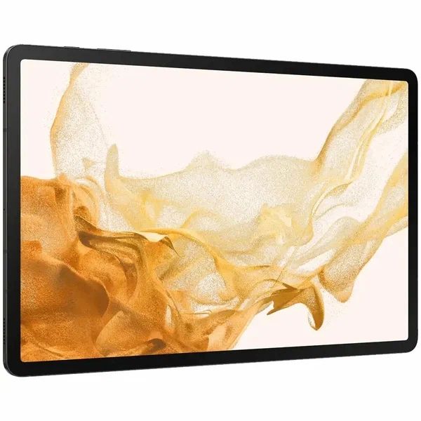 Samsung Tab S8 plus у Артура в магазине Б17 Hofmann на малике