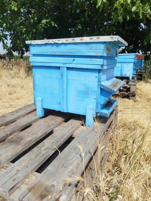 Продавам стари кошери ДБ