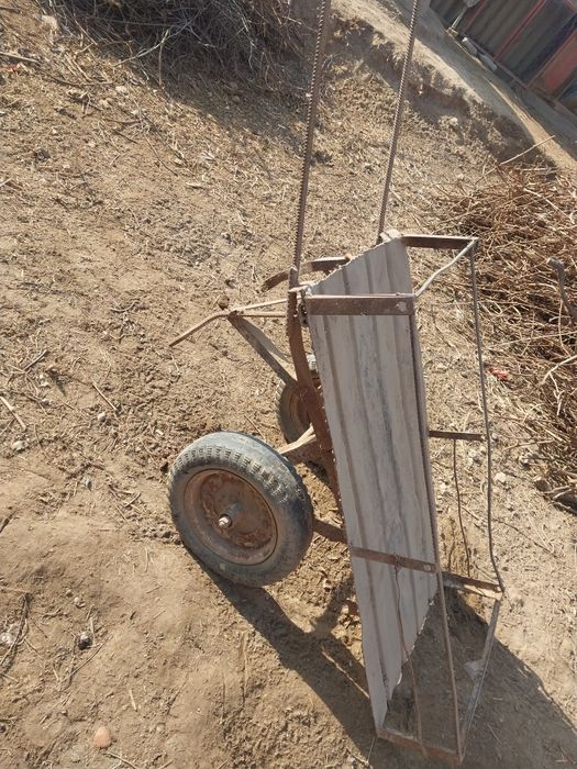 Arava G'oltak Г'олтак