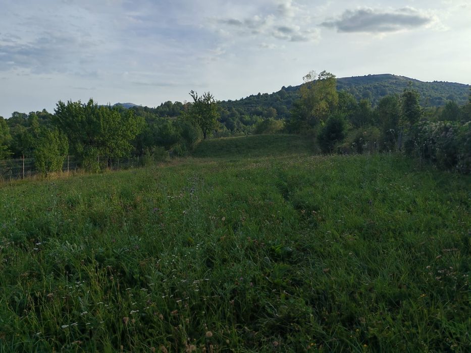 Teren Valea Doftanei