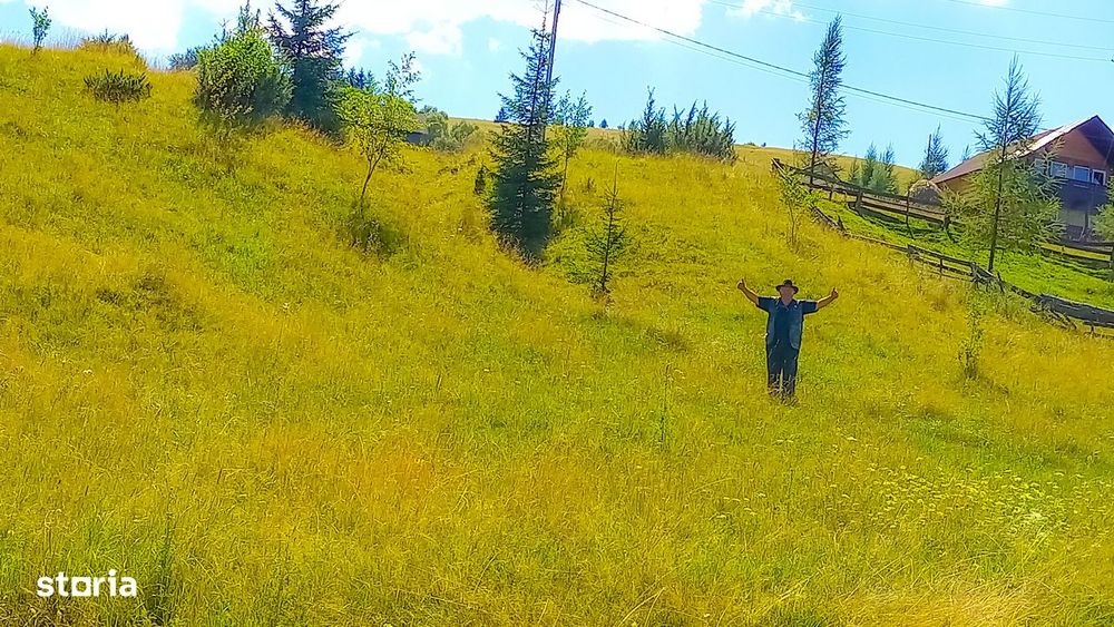 TEREN INTRAVILAN 2000 mp – 32 m la drum – Acces DN17A, BUCOVINA!