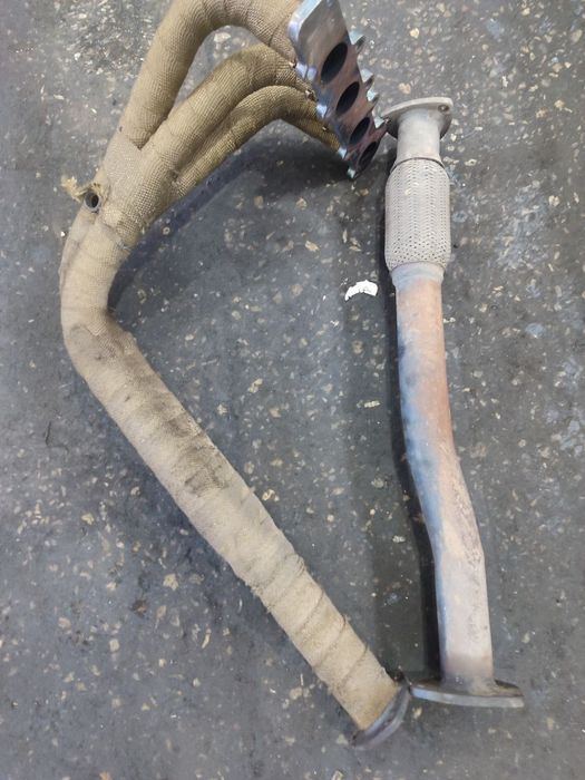 Pauk sotiladi holati ideal jentraga tushadi